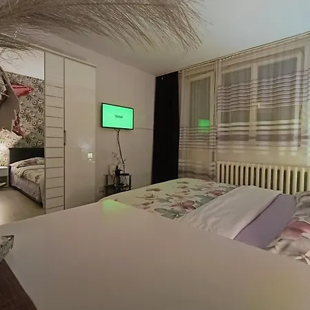 Comfy In New Apartman *